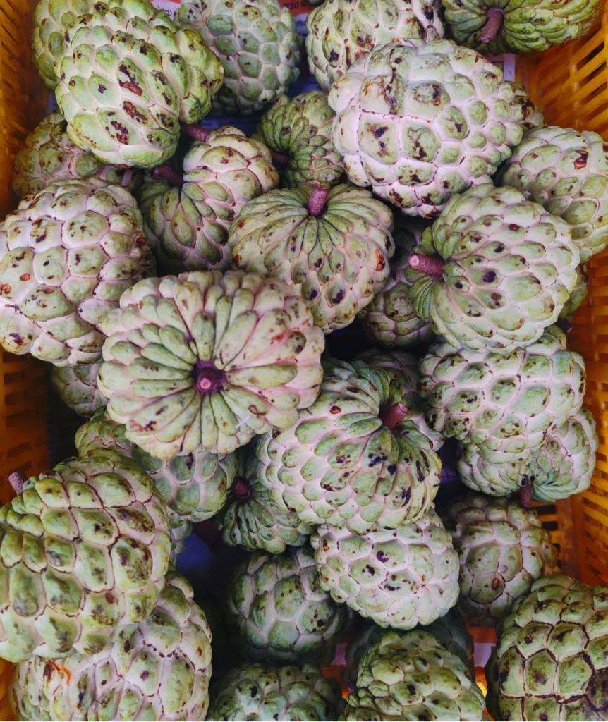 Basket of fresh custard apples showing how to select ripe fruit for diabetes management