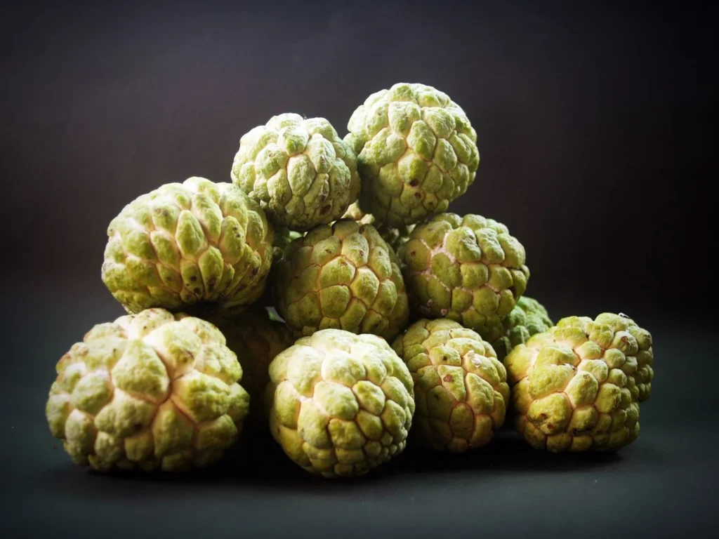 Green sugar apple fruits showing their nutritious exterior and texture