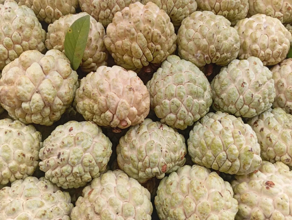 Fresh custard apples at a market showing the recommended serving size for diabetes