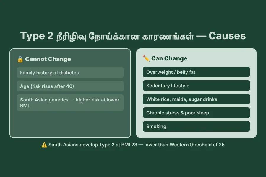 Causes of Type 2 diabetes in Tamil Nadu — modifiable risk factors: refined rice diet, sedentary lifestyle, stress; South Asian genetic risk at lower BMI