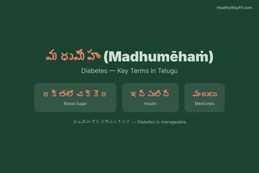 At-a-glance infographic about diabetes meaning in Telugu with key terms and facts