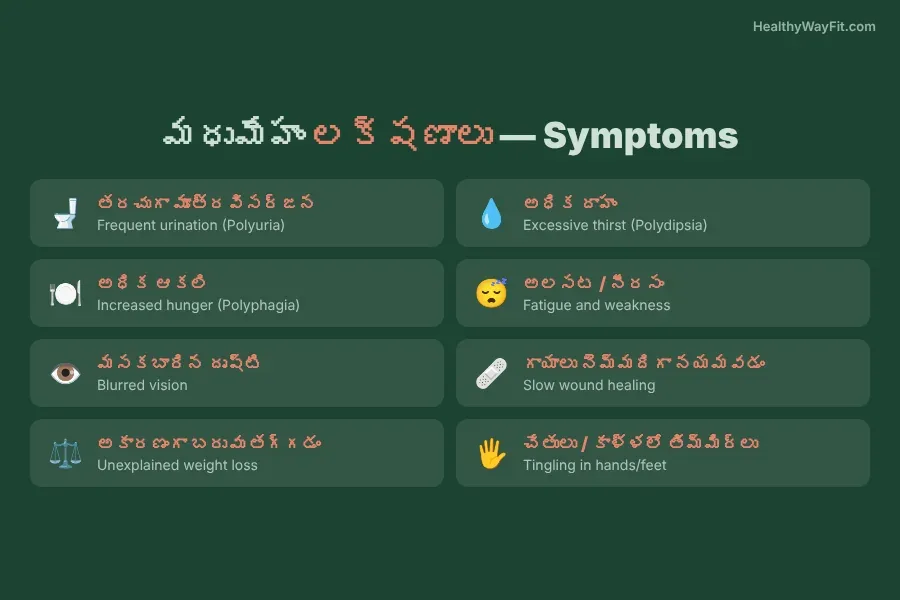 Infographic listing diabetes symptoms in Telugu and English side by side