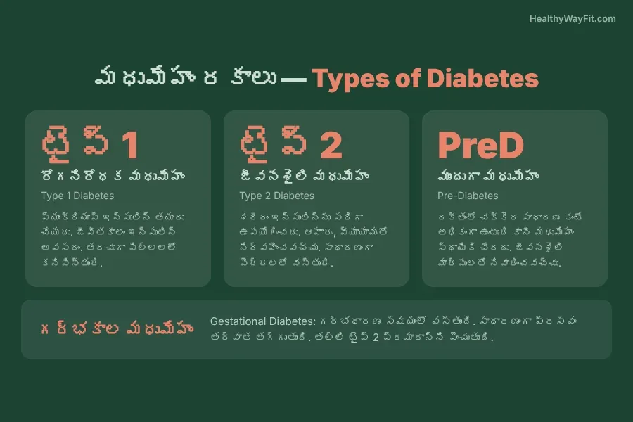 Infographic showing types of diabetes in Telugu including Type 1, Type 2, and gestational diabetes