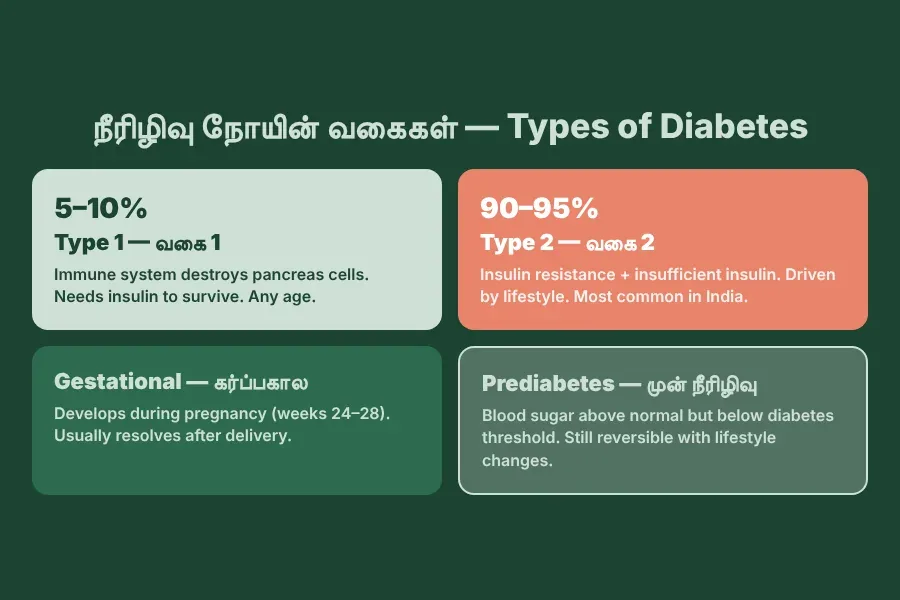 Types of diabetes in Tamil — Type 1 autoimmune, Type 2 most common, gestational during pregnancy, prediabetes warning stage explained