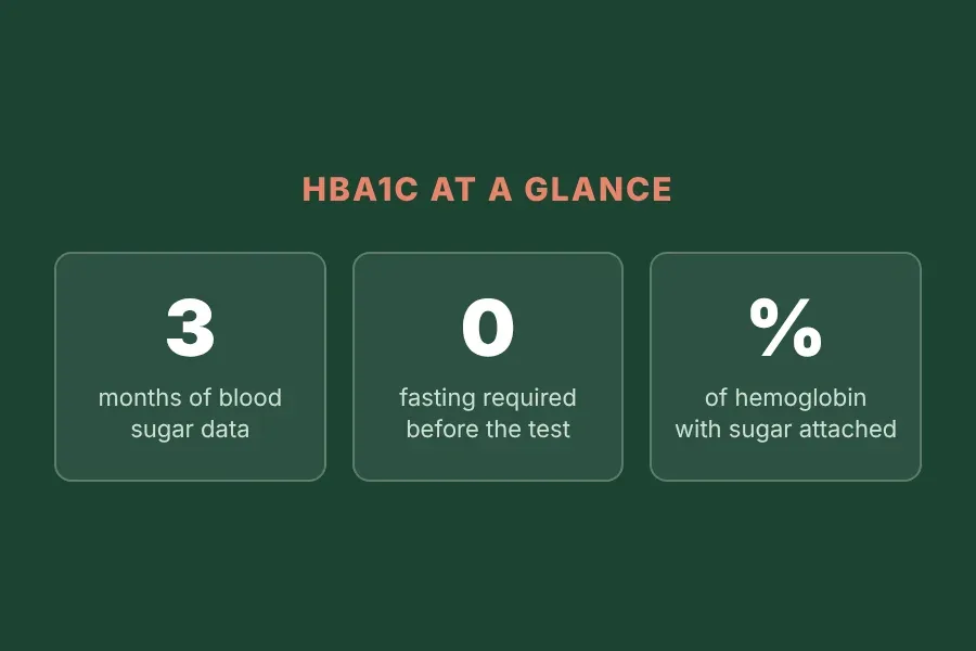 Three key facts about HbA1c at a glance: what it measures, the three-month reflection period, and that no fasting is required