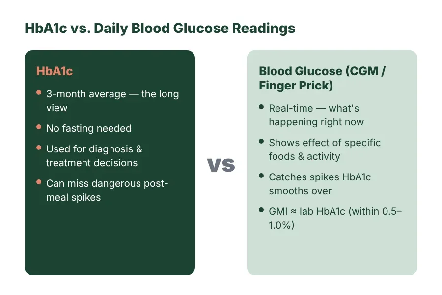 Side-by-side comparison of HbA1c (3-month average) versus daily blood glucose readings (real-time), showing what each test measures and when you need both