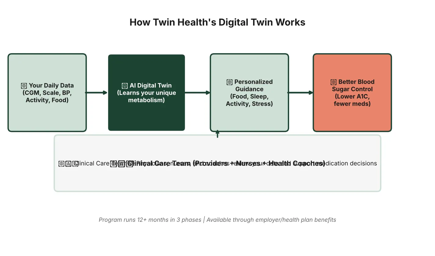 How Twin Health's Digital Twin AI works: wearable data → AI model → personalized metabolic guidance