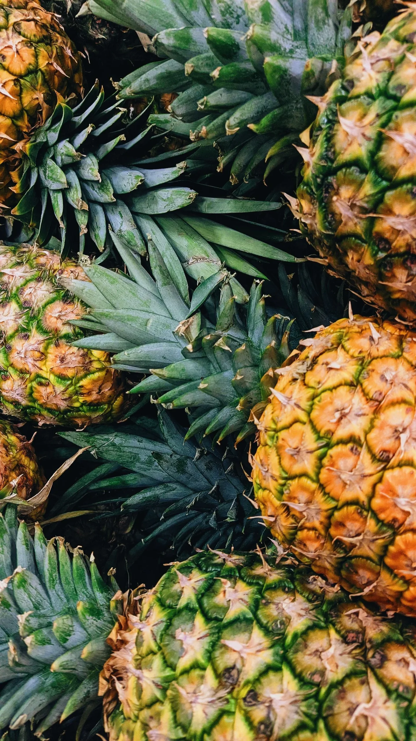 Sliced pineapple rings showing portion size for blood sugar management