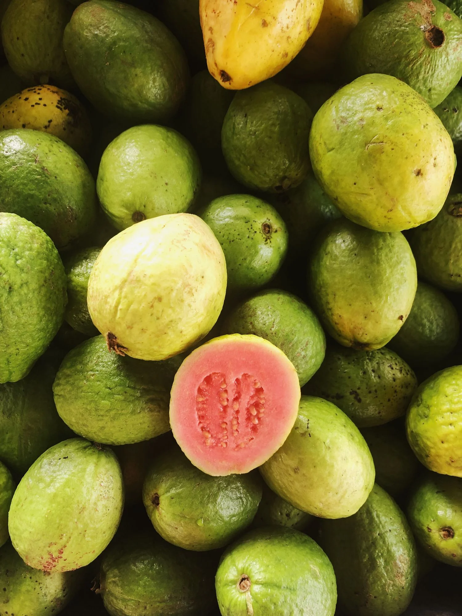 Plenty of fresh green and yellow guavas in a market display