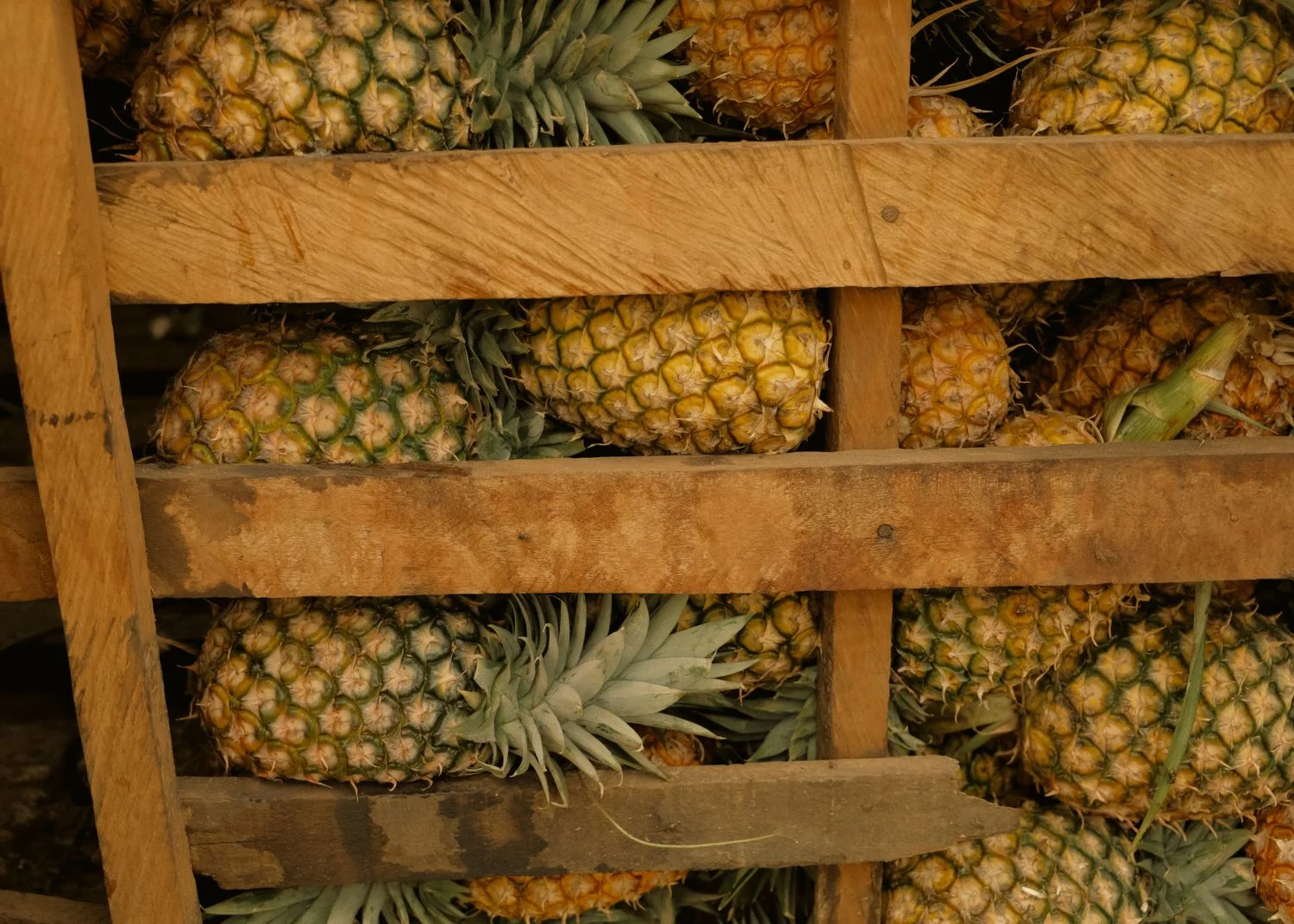 Fresh whole pineapple and sliced pieces on a wooden surface