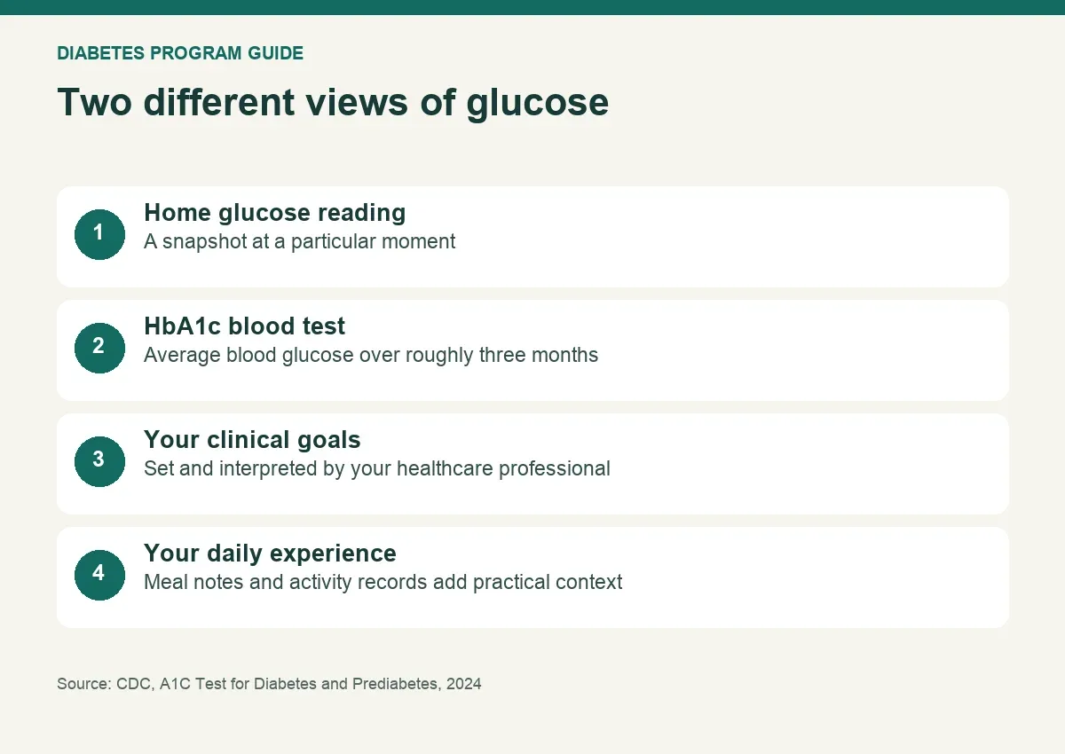 Home glucose readings reflect a moment; HbA1c reflects an average over roughly three months.