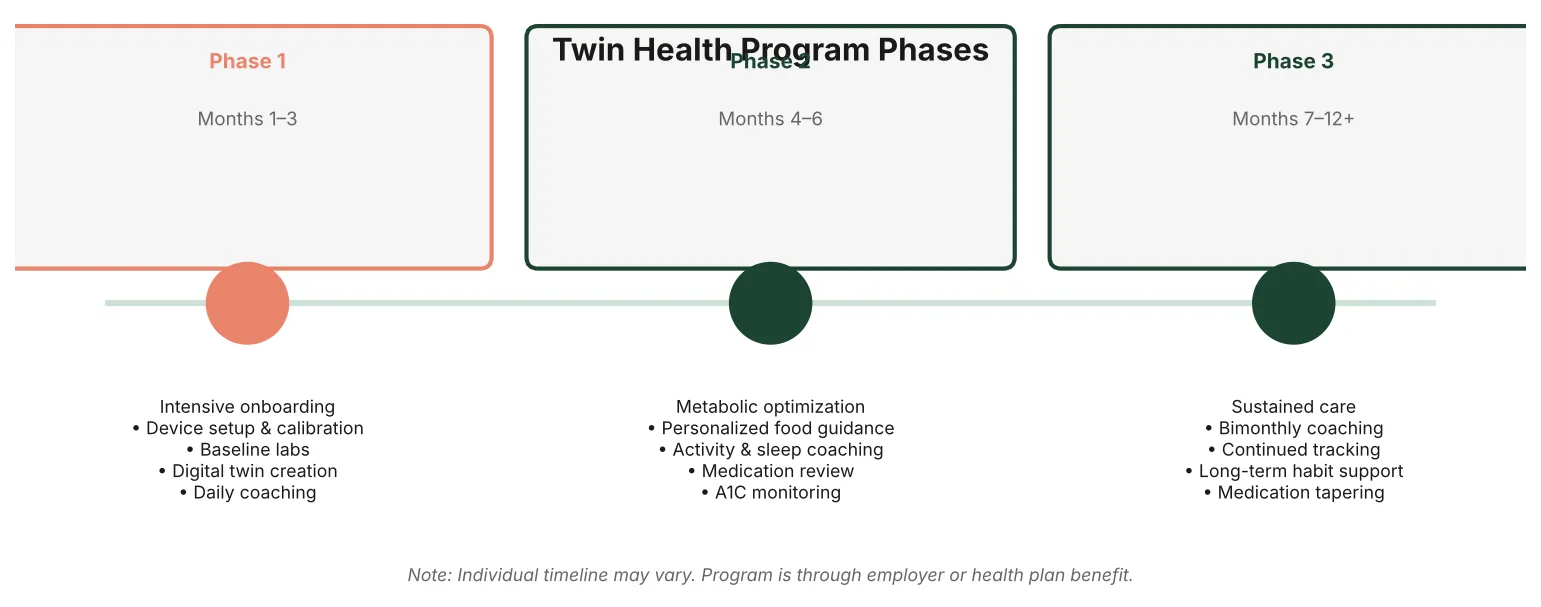Twin Health program phases: 3-phase timeline from intensive onboarding to sustained remission over 12 months