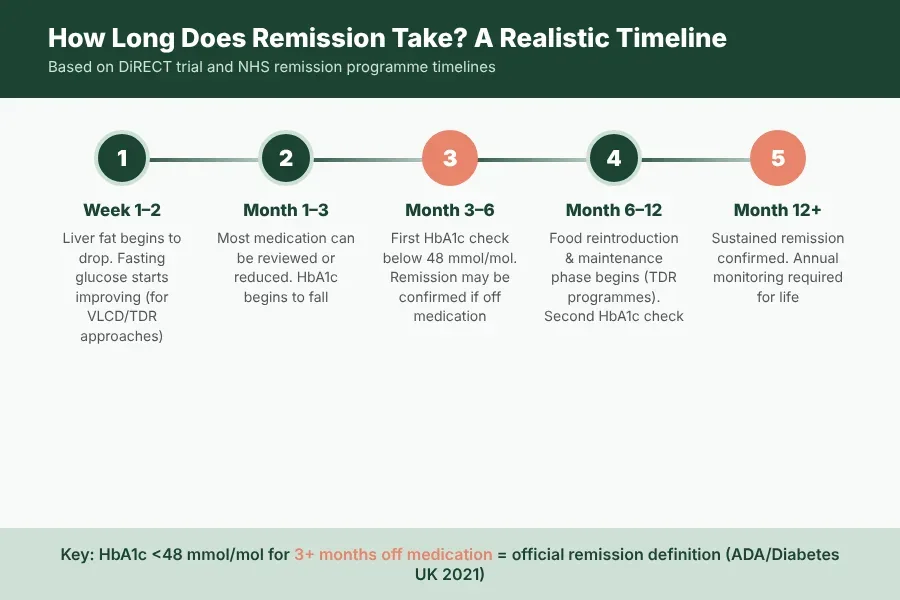 Realistic timeline for Type 2 diabetes remission: liver fat drops in weeks 1–2, HbA1c begins falling by month 1–3, first remission check at month 3–6, maintenance phase month 6–12, sustained remission confirmed at month 12 plus