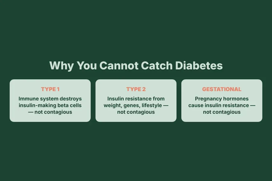 Why you cannot catch diabetes: Type 1, Type 2 and gestational diabetes all start inside the body